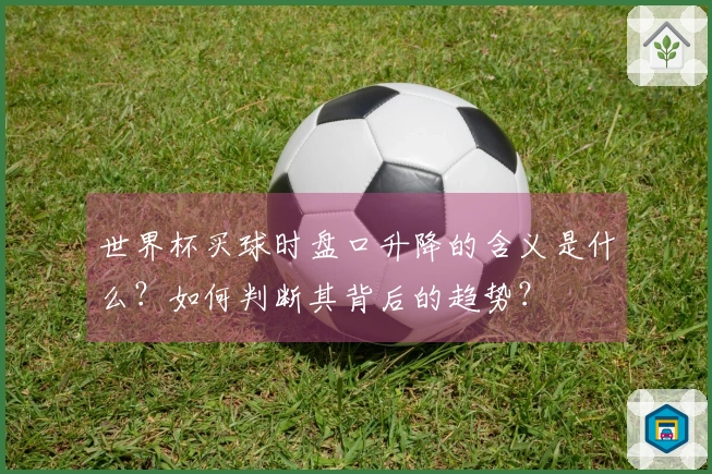世界杯买球时盘口升降的含义是什么？如何判断其背后的趋势？