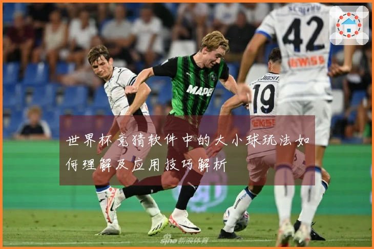世界杯竞猜软件中的大小球玩法如何理解及应用技巧解析