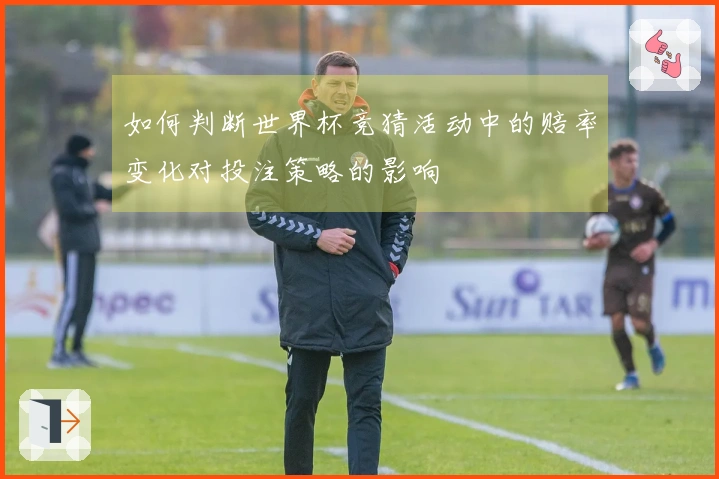 如何判断世界杯竞猜活动中的赔率变化对投注策略的影响