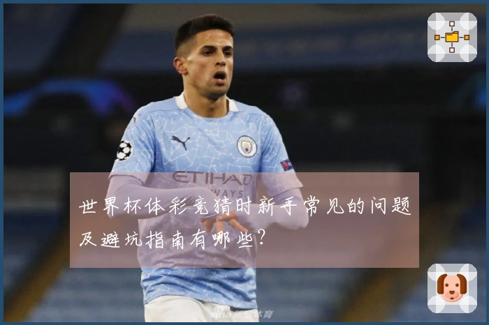 世界杯体彩竞猜时新手常见的问题及避坑指南有哪些？